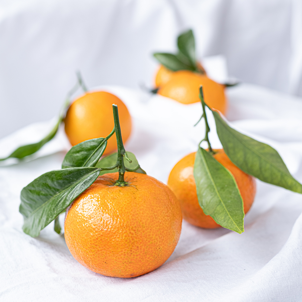 Citrus Aurantium Dulcis Peel Cera – Orangenschalenwachs